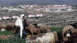 Palestijnse herder voor Joodse nederzetting